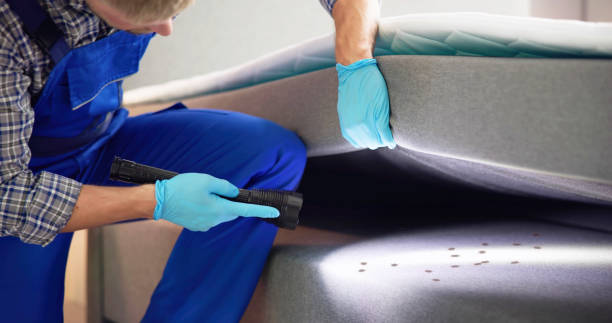 Best Residential Pest Control  in Prescott, WI