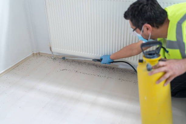 Best Best Pest Control Companies  in Prescott, WI