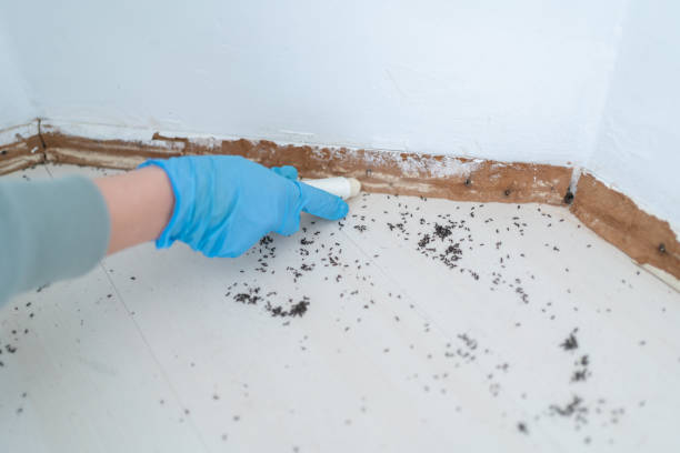 Best Pest Removal Services  in Prescott, WI